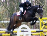 Calixtus