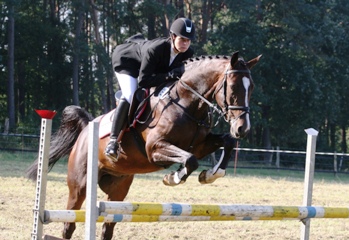 Cardoro Springpferdepr�fung Kl.A