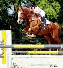 Sieger im 2-Phasen-L in Garrel