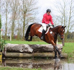 Ladima Wasser