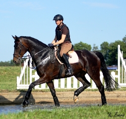 Quandira in Vechta