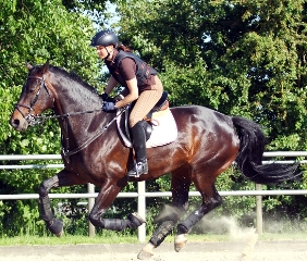 Quandira Full Speed